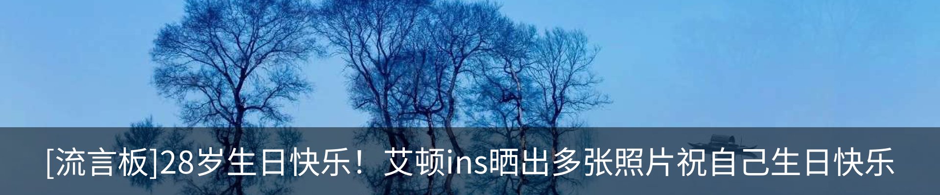 新闻动态